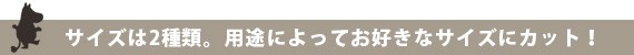 サイズは2種類