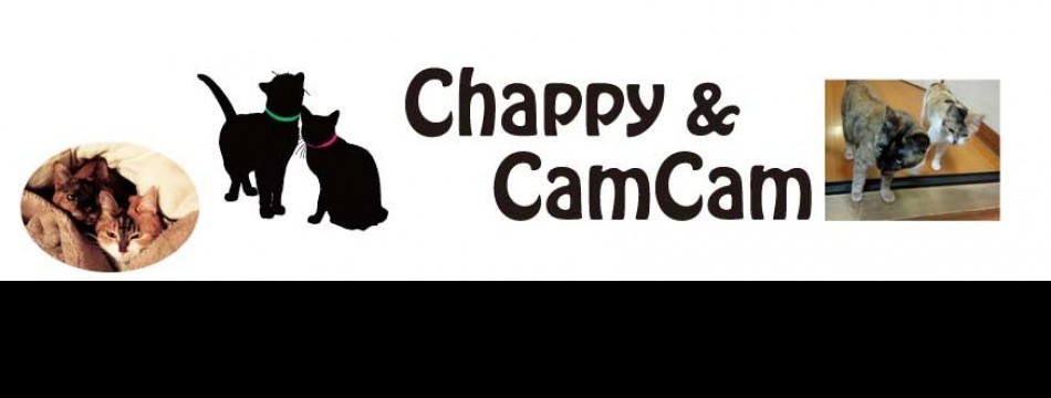 Chappy&CamCam