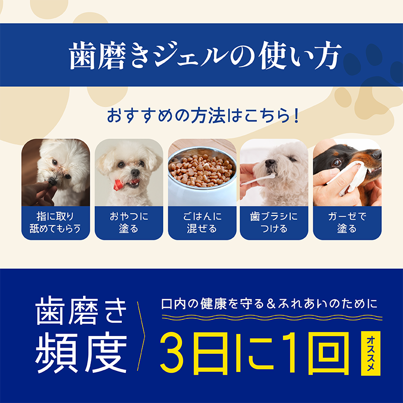 【裁断済み】犬と猫の眼科手術入門 ホームドクターが押さえておくべき手技とケア 犬と猫の眼科手術入門 株式会社 緑書房
