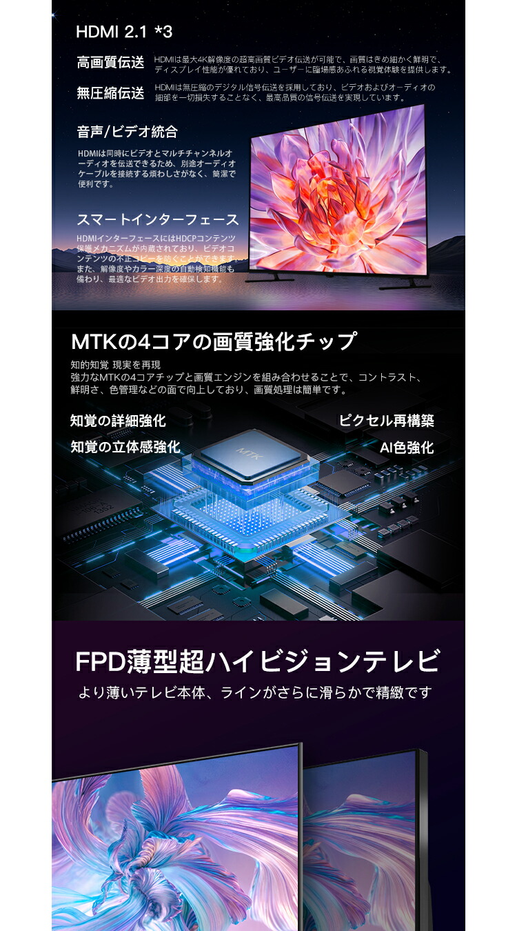 FPD チューナーレス テレビ 4K 65インチ Google TV 65V型 液晶