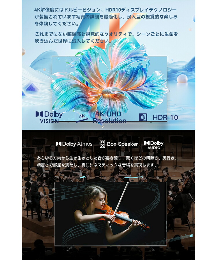 FPD チューナーレス テレビ 70V型 4K Google TV フレームレス