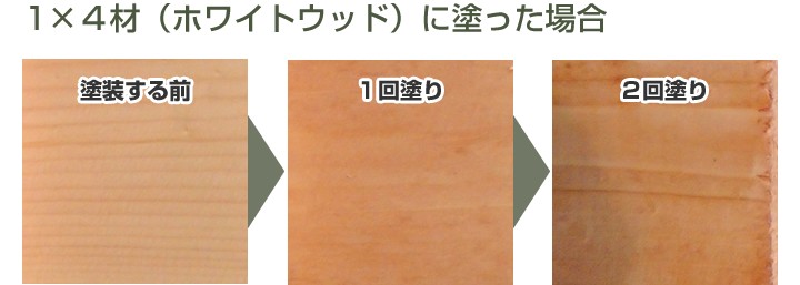 ターナー 【BONUS+5%】 無臭柿渋 20L （純天然素材/ターナー色彩