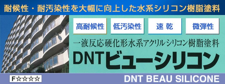 DNTビューシリコンとは