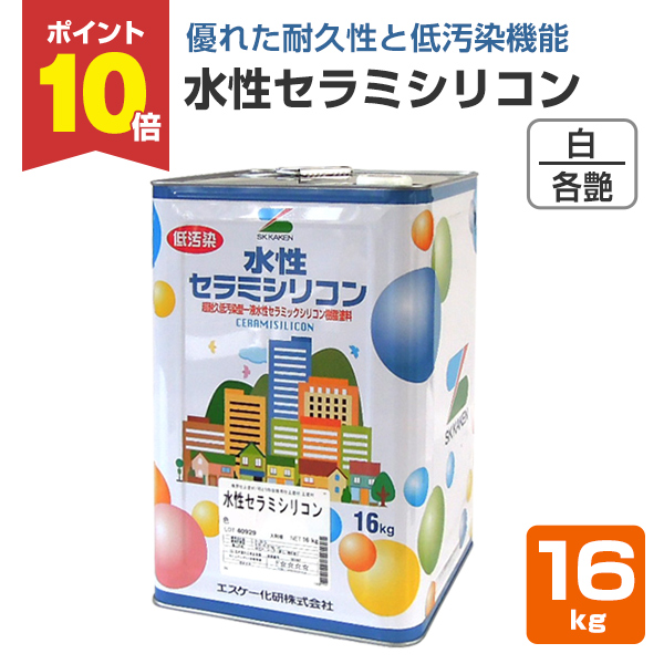 yBONUS+5z Z~VR@/3/  16kg@iGXP[j