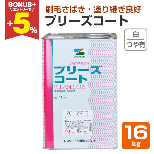 yBONUS+5z v[YR[g@@16kg@iLyCg/GXP[j