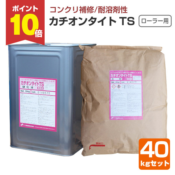 期間限定P10倍】 カチオンタイト TS （ローラー用耐溶剤型