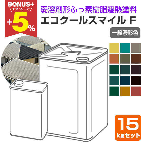 BONUS+5%】 大日本塗料 エコクールスマイルF 一般濃彩色 15kgセット 