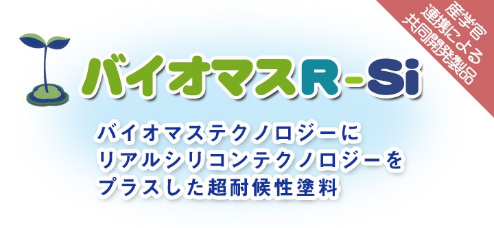 バイオマス R-Si 15kgセット （水谷ペイント/弱溶剤２液型シリコン樹脂