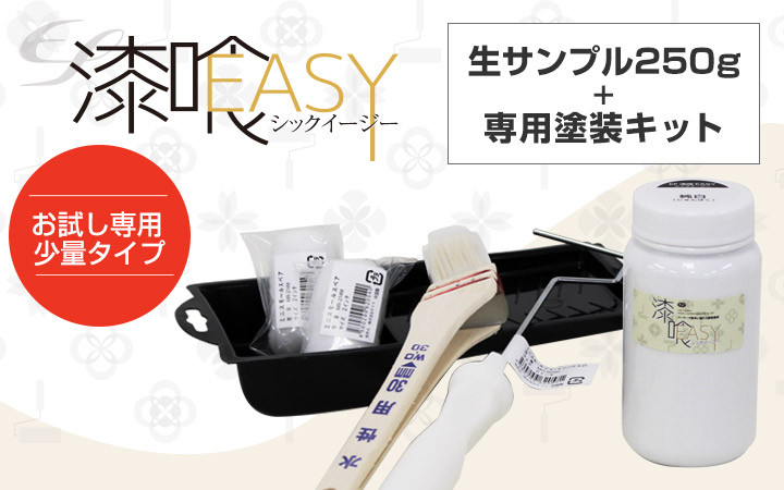 EF漆喰EASY 生サンプル250g ＋ 専用塗装キット （STK-37N） しっくい