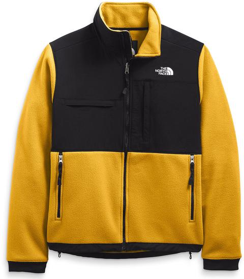 THE NORTH FACE DENALI 2 JACKET （日本未発売商品USA企画） ノース