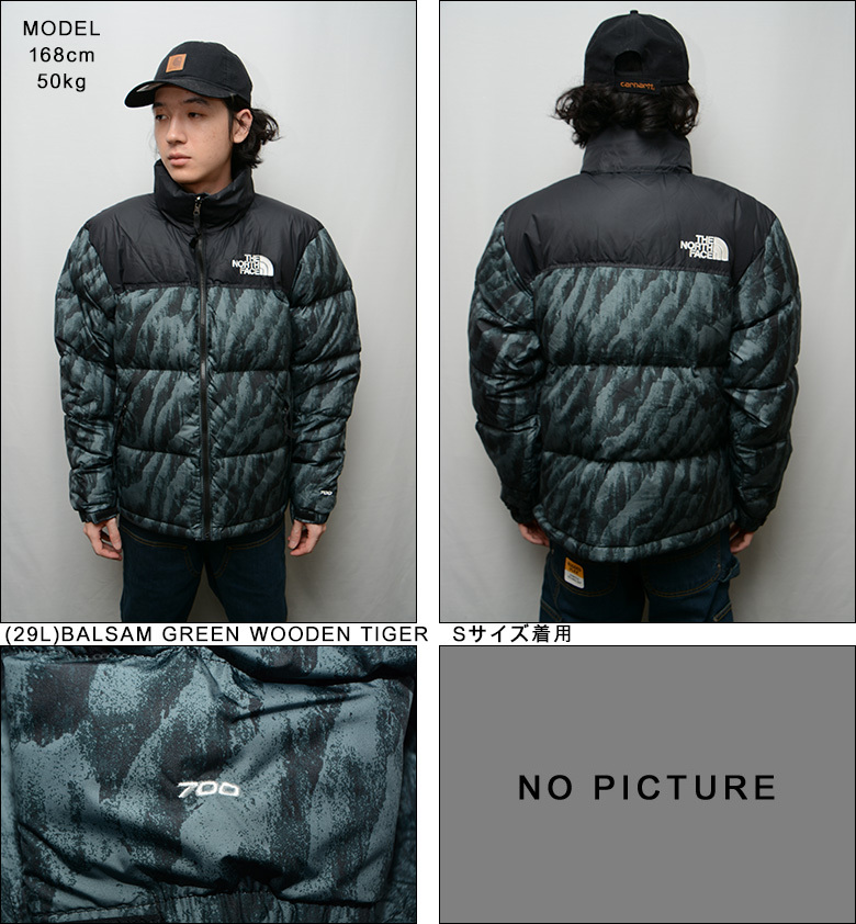 （ ノースフェイス ダウン ） THE NORTH FACE PRINTED 1996