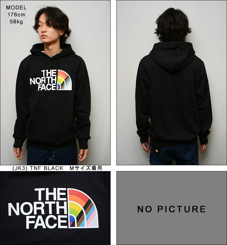 （ ノースフェイス パーカー ） THE NORTH FACE PRIDE PULLOVER HOODIE （日本未発売USA企画） プリントパーカー  プルオーバー メンズ ザ・ノース・フェイス
