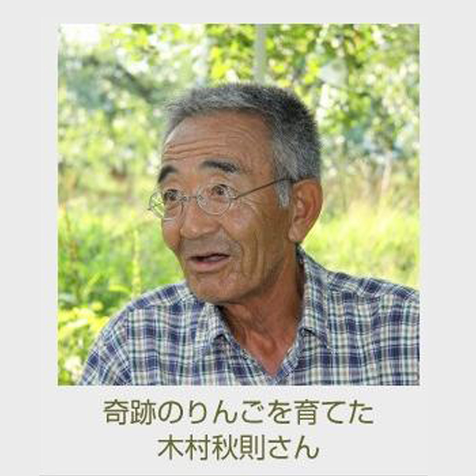 奇跡のりんごかりんとう 132g (1枚12g×11枚入） : 弘前物産