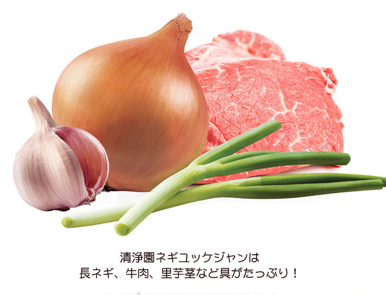 人気海外一番 清浄園 牛肉わかめスープ 450g 辛さ0 チョンジョンウォン レトルト 韓国スープ 韓国鍋 韓国料理 チゲ鍋 韓国食品 