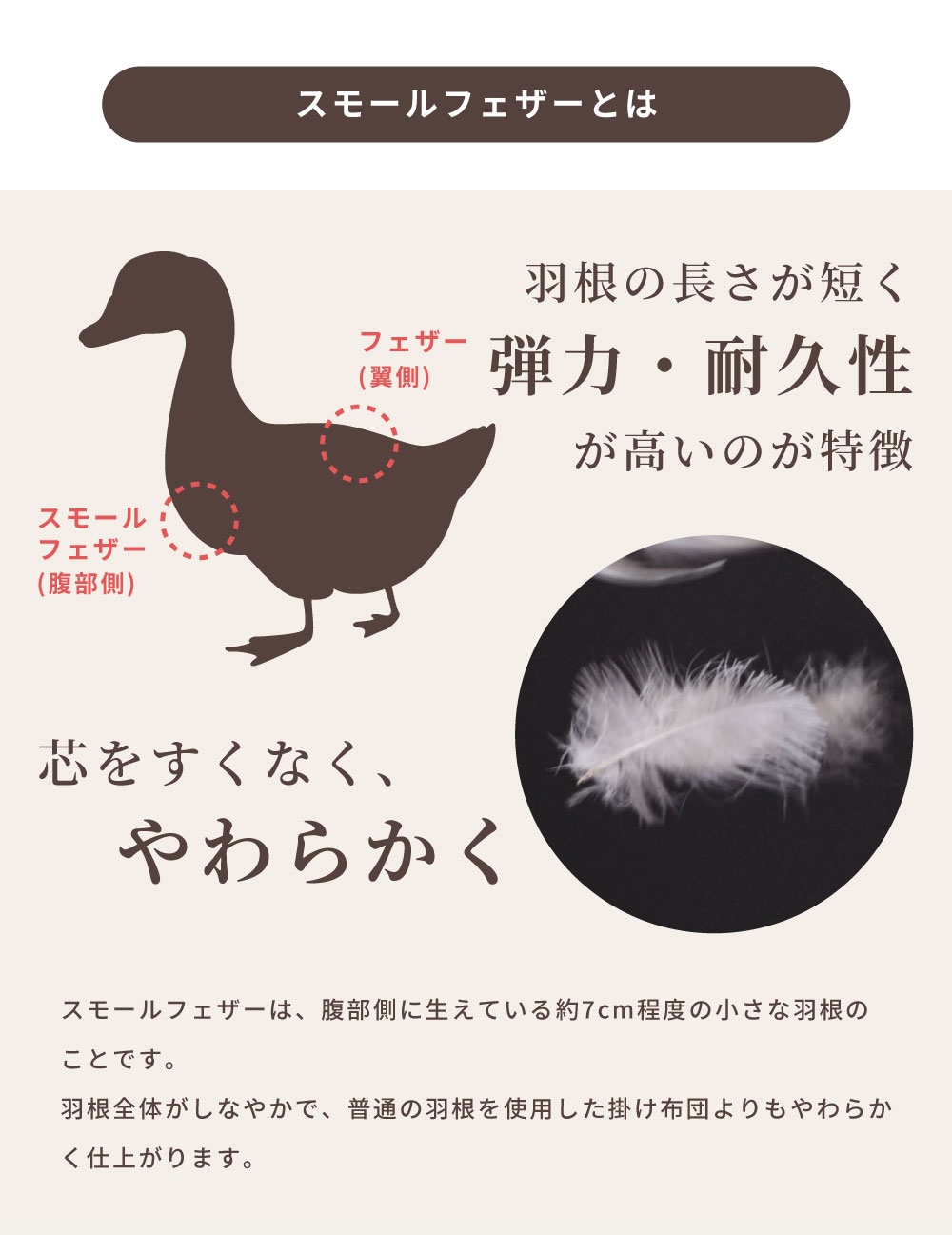 布団セット 7点 羽根布団 シングル 羽根布団セット 布団 ふとん 掛け布団 敷き布団 枕 まくらカバー 掛布団カバー 敷布団カバー 収納ケース 当店限定