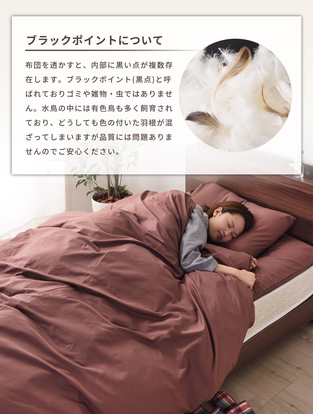 布団セット 7点 羽根布団 シングル 羽根布団セット 布団 ふとん 掛け布団 敷き布団 枕 まくらカバー 掛布団カバー 敷布団カバー 収納ケース 当店限定