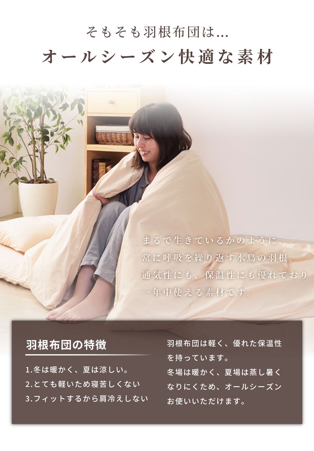 布団セット 7点 羽根布団 シングル 羽根布団セット 布団 ふとん 掛け布団 敷き布団 枕 まくらカバー 掛布団カバー 敷布団カバー 収納ケース 当店限定