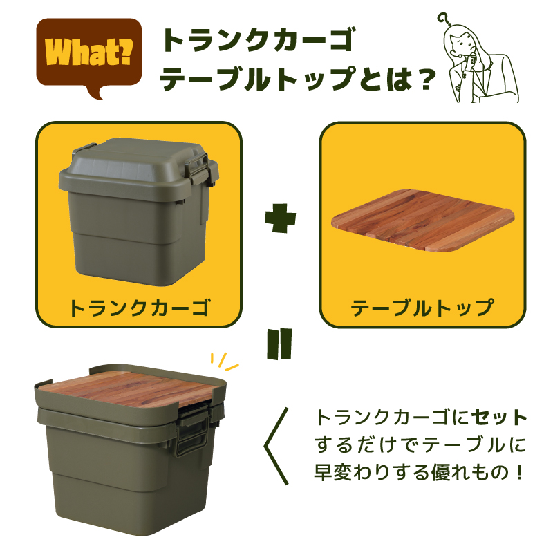 カーボンテーブルトップ　レクタ　天板のみ カーボンテーブルトップ レクタ - CAMPHILLS ONLINE SHOP
