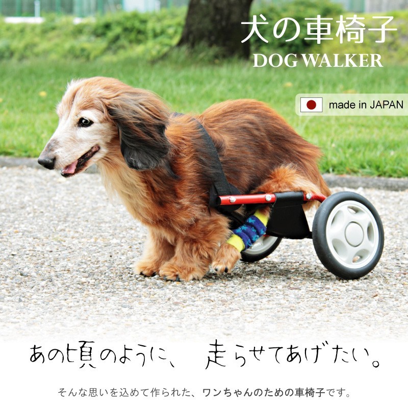 犬用車椅子 犬の車椅子 車いす ミニチュアダックス 車椅子 犬用車イス