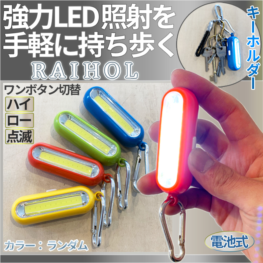 高品質新品 カラビナ ミニ LED ライト COB 懐中電灯 小型 照明 キーホルダー アウトドア ジョギング ランニング ウォーキング 釣り  キャンプ ボタン 電池 RAIHOL www.monseletjardin.ca