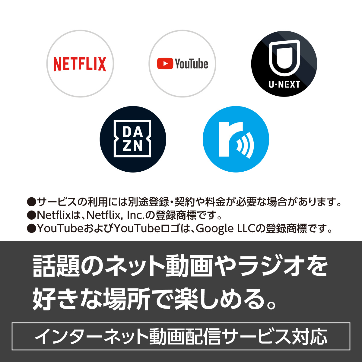 プライベート・ビエラ 公式店 パナソニック ポータブルテレビ UN