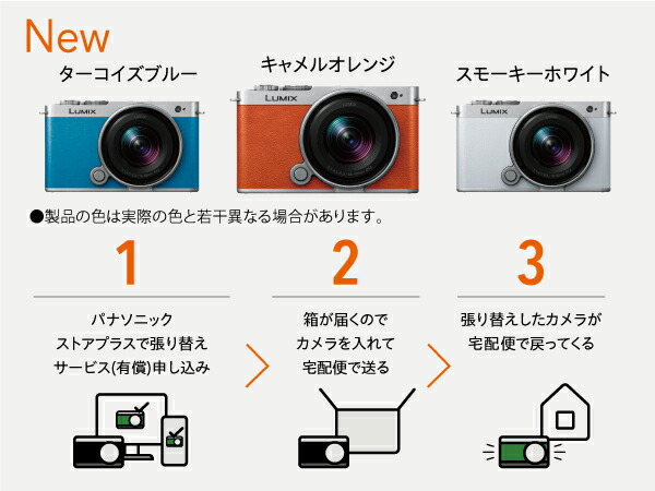 LUMIX Sシリーズ 公式店 パナソニック デジタル一眼カメラ DC-S9W