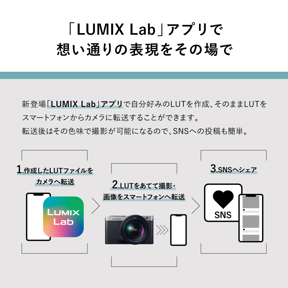 LUMIX DC-S9 美品・付属品多数 新品)Panasonic (パナソニック) LUMIX S9 高倍率ズームレンズ