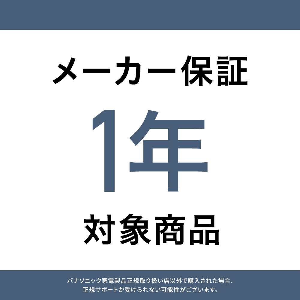 Technics（テクニクス） 公式店 イヤホン EAH-AZ100 ノイズキャンセ