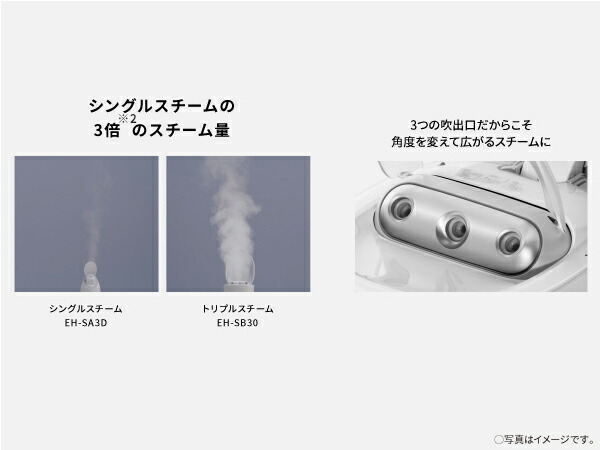 Panasonic（パナソニック） 公式店 スチーマー スキンアクト