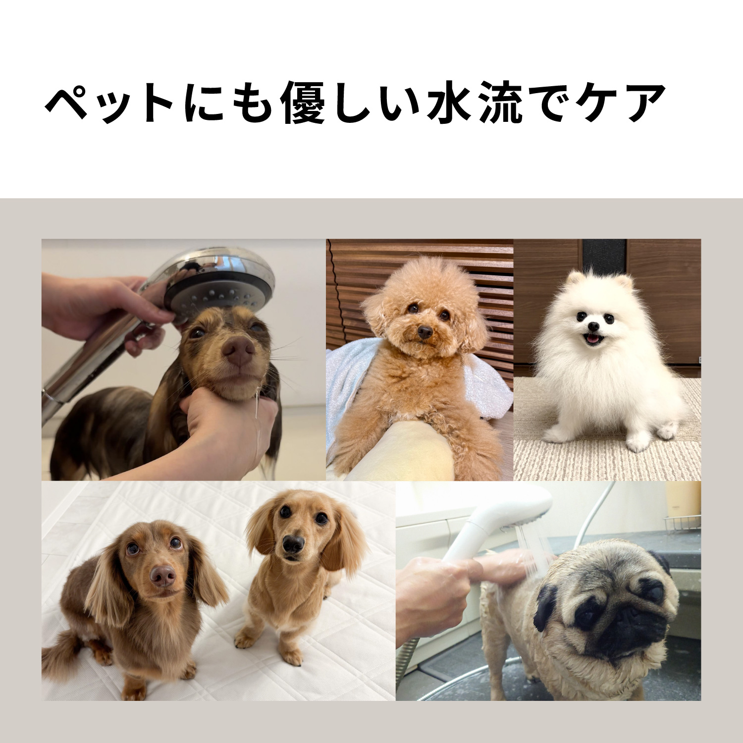 Panasonic（パナソニック） 公式店 シャワーヘッド ファインバブル