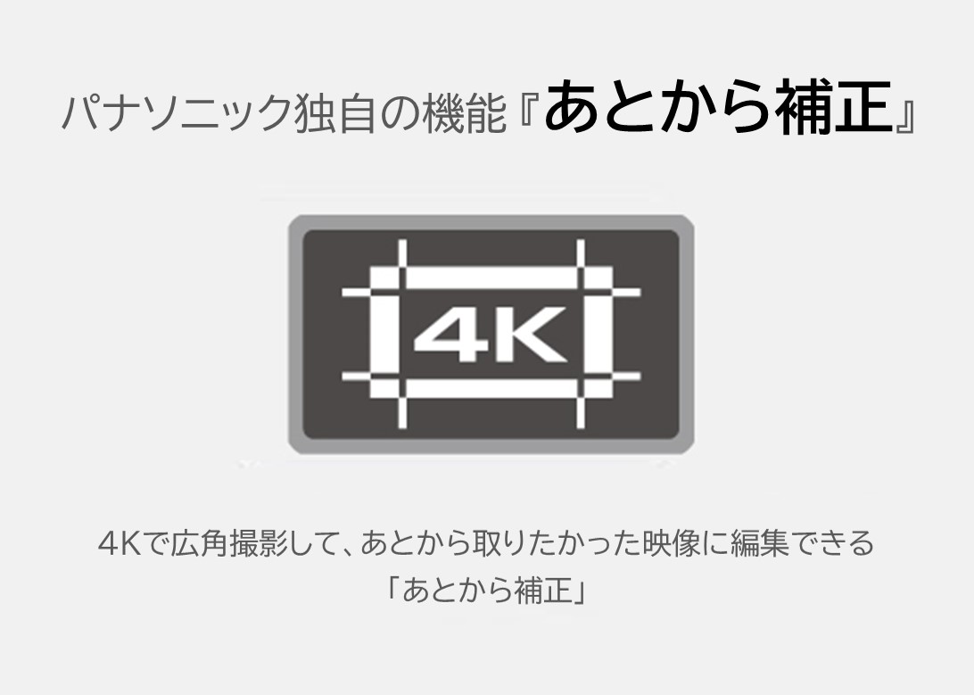 Panasonic 公式店 パナソニック ビデオカメラ 4K HC-VX3 高画質