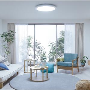 Panasonic（パナソニック） 公式店 シーリングライト LED HH-CF0800A