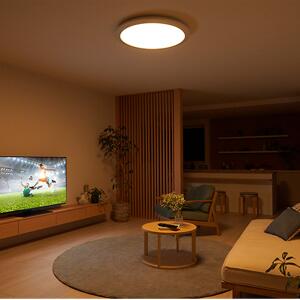 Panasonic（パナソニック） 公式店 シーリングライト LED HH-CF0800A