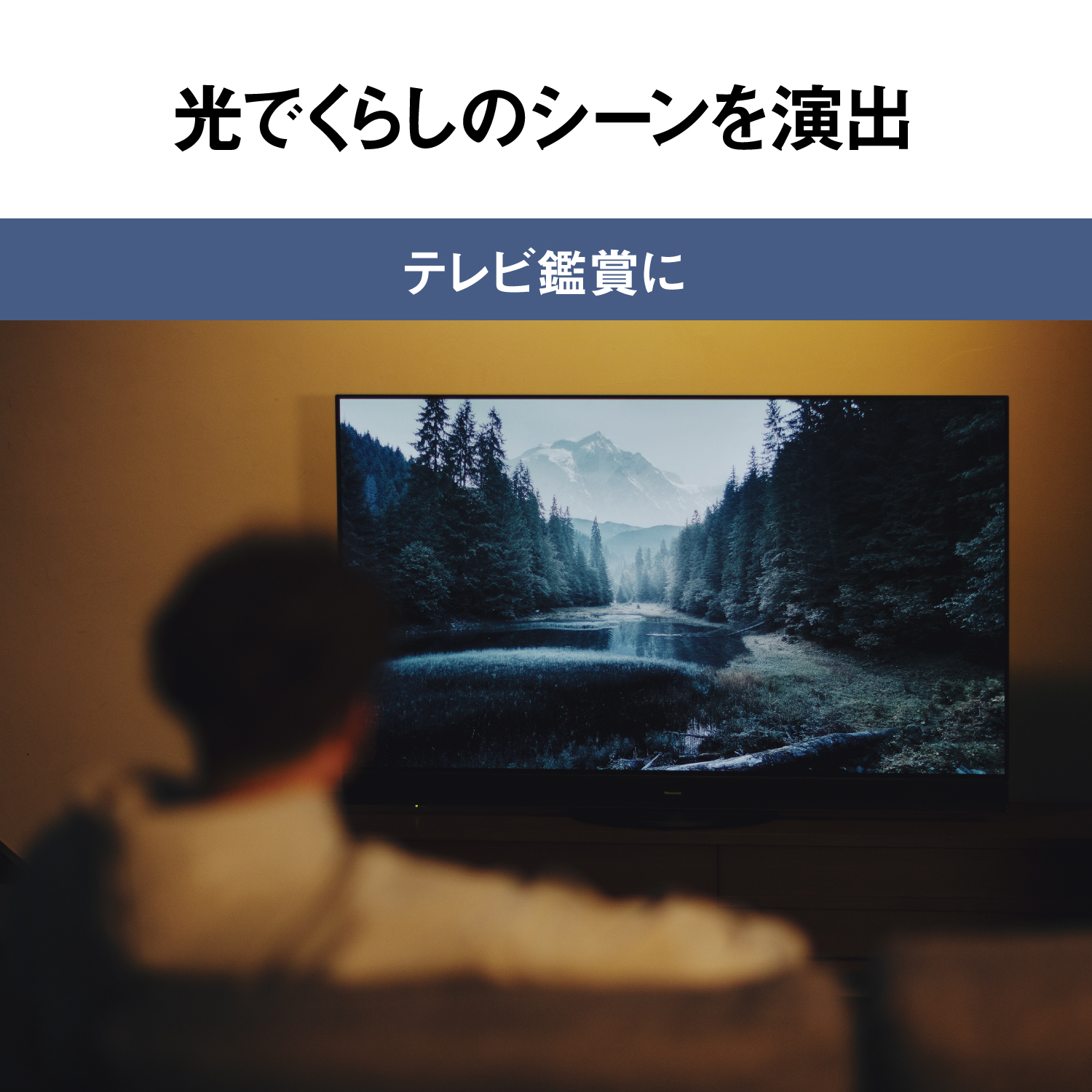 Panasonic 公式店 パナソニック シーリングライト LED HH