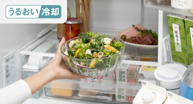 Panasonic（パナソニック） 公式店 冷蔵庫 NR-E47BR3 468L 幅60cm 野菜