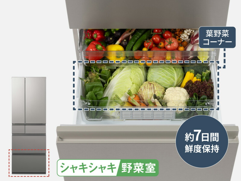 Panasonic（パナソニック） 公式店 冷蔵庫 NR-F49EY3 490L 奥行・幅