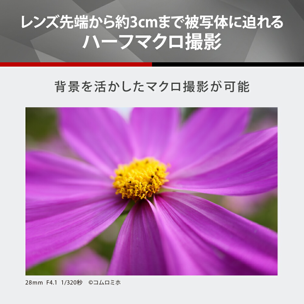 LUMIX 公式店 パナソニック レンズ S S-R28200 ズーム 28-200mm