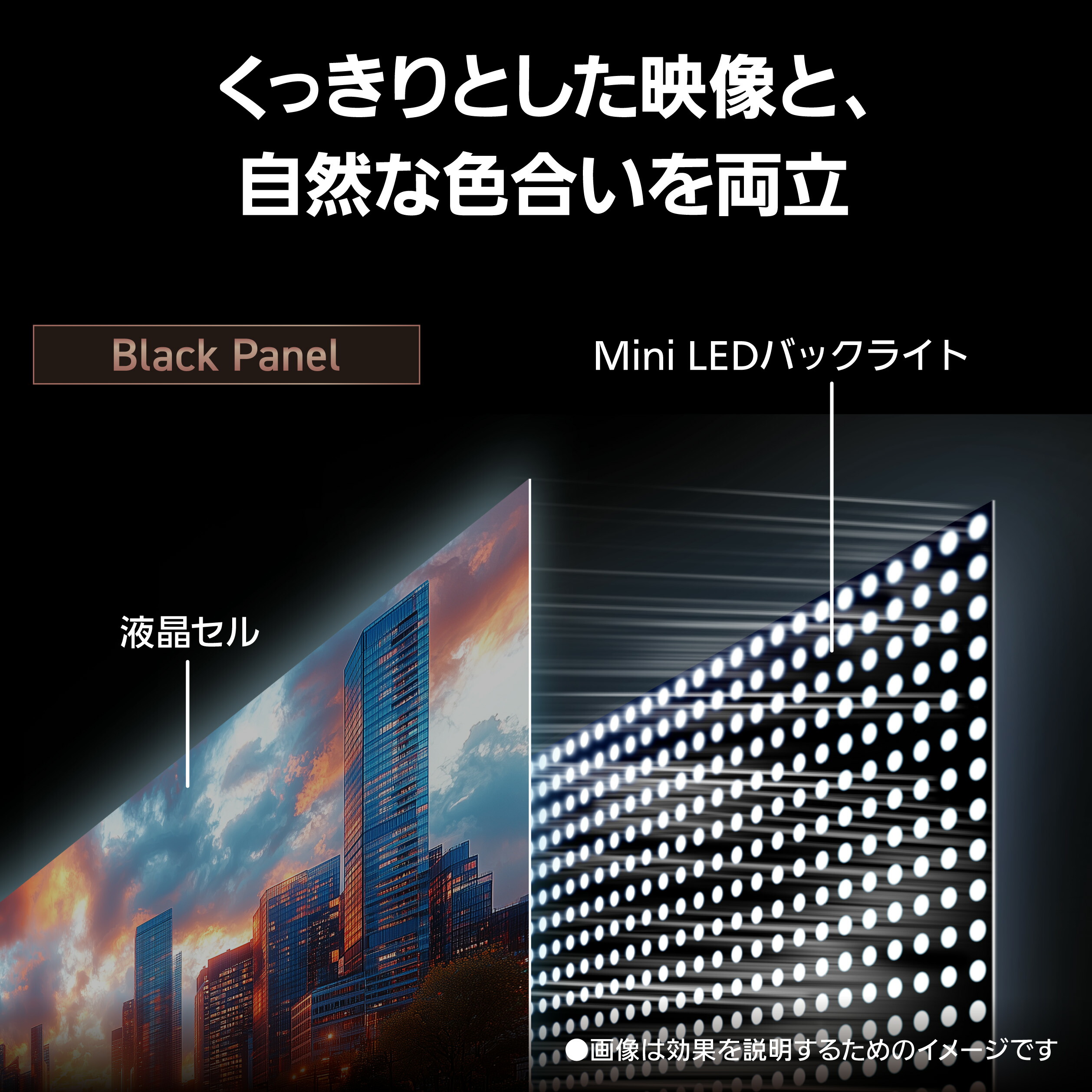 VIERA 予約 公式店 パナソニック テレビ TV-65W93C 4K 液晶 65v型