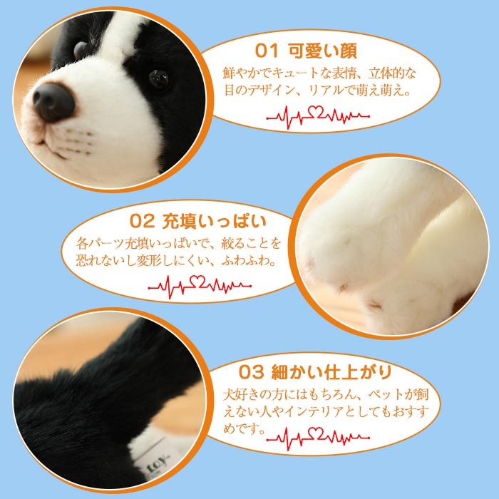 20dogk11-9.jpg