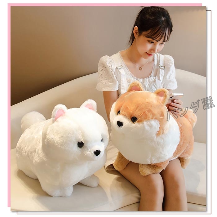864dog-7.jpg