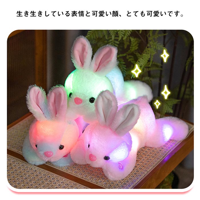 921rabbit-4.jpg