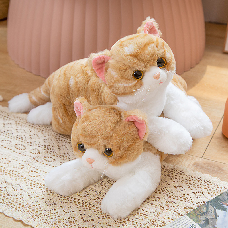 CAT23729-7.jpg