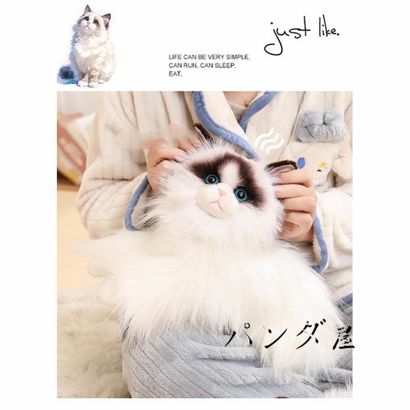 リアル 猫のぬいぐるみ ラグドール 50cm かわいい 本物みたいな癒し系