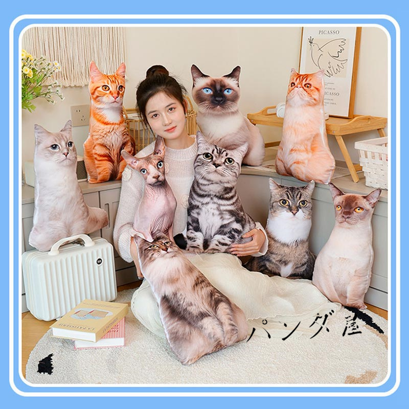 cat-1181-3.jpg