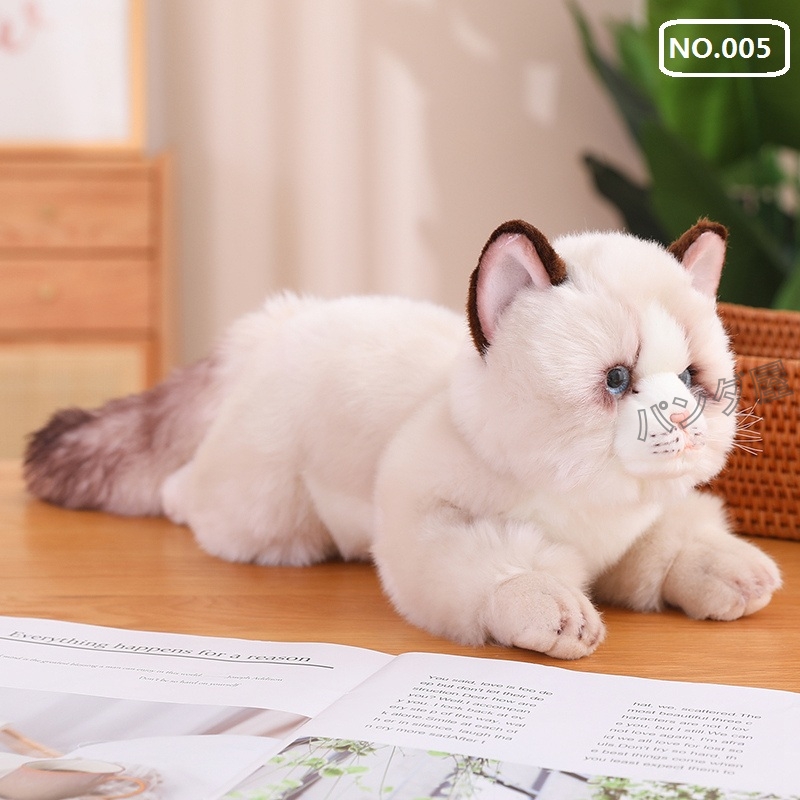 ぬいぐるみ ねこ ネコ 猫 フワフワ抱き枕 おもちゃ リアル 置物 ぬいぐるみ ねこ ネコ 猫 フワフワ抱き枕 おもちゃ リアル 置物