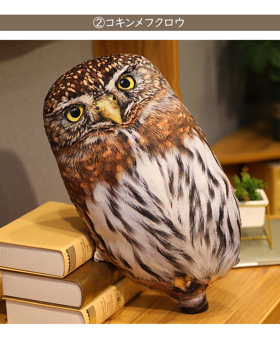 フクロウ ぬいぐるみ本物のような鳥 ふくろう 梟 猛禽類 本物