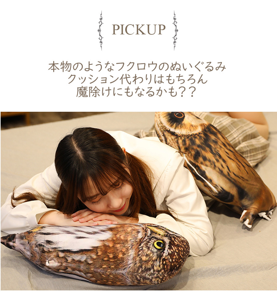 フクロウ ぬいぐるみ本物のような鳥 ふくろう 梟 猛禽類 本物