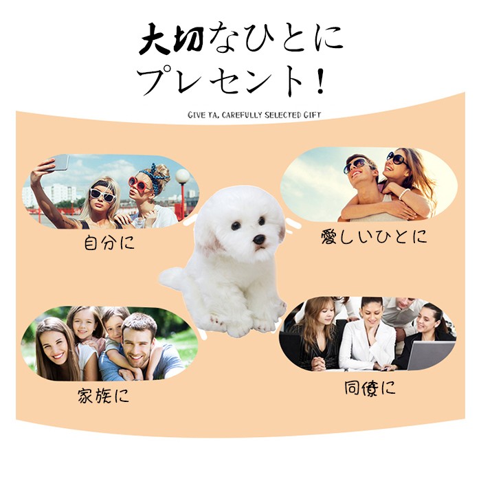 ぬいぐるみ 犬 マルチーズ イヌ おもちゃ 抱き枕 クリスマス お誕生日