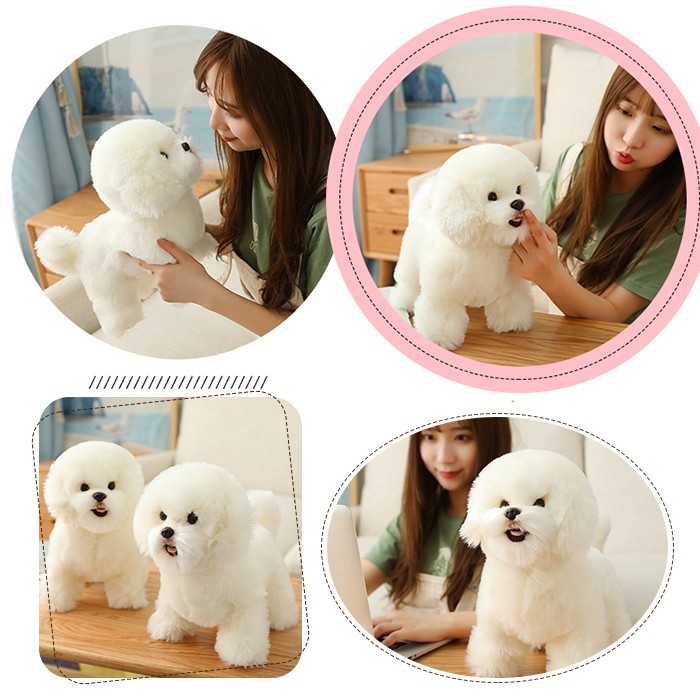dog20928-3.jpg