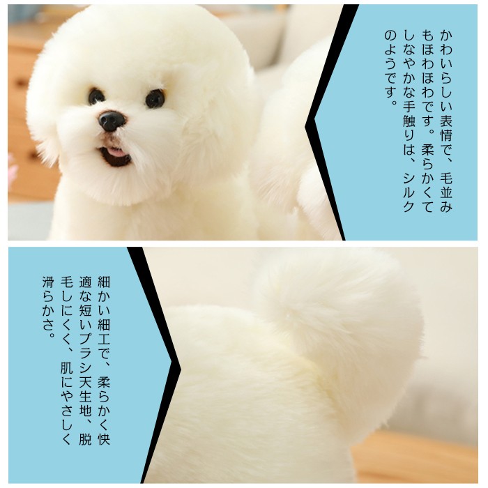 dog20928-5.jpg